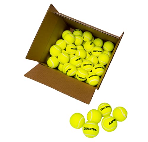 GAMMA Sports Pressureless Tennis-Balls Box, Bulk Tennis Balls, Premium Tennis Accessories, Pack of 75, CPP7510