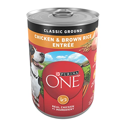 Purina ONE Classic Ground Chicken and Brown Rice Entree Adult Wet Dog Food - (Pack of 12) 13 oz. Cans