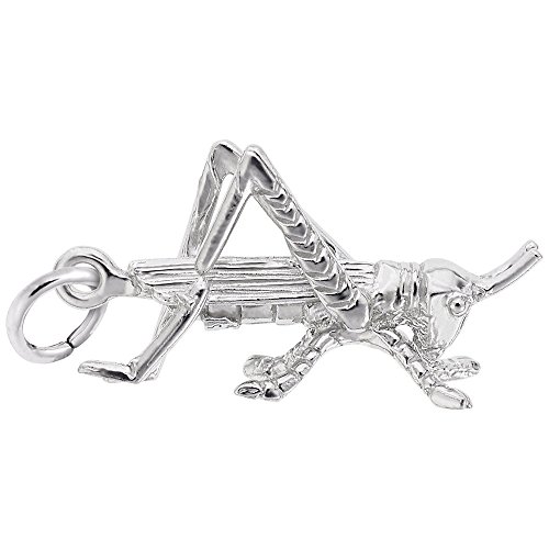 Cricket Charm in Sterling Silver, Charms for Bracelets and Necklaces