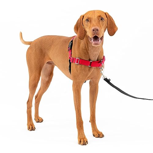 PetSafe Easy Walk No-Pull Dog Harness - The Ultimate Harness to Help Stop Pulling - Take Control & Teach Better Leash Manners - Helps Prevent Pets Pulling on Walks - Medium, Red/Black