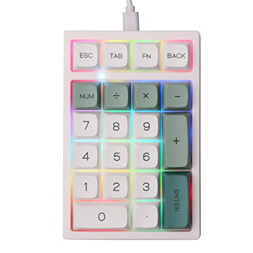 EPOMAKER TH21 21 Keys Hot Swappable Mechanical Gaming Numpad, 3 Modes(2.4Ghz/Bluetooth 5.0/Wired) Programmable RGB Numeric Keypad with PBT Keycaps for Win/Mac (Botanic Garden, Gateron Pro Yellow)
