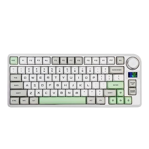 EPOMAKER TH80-X Gasket Mechanical Keyboard, 75% Layout Triple Mode Hot-swap Gaming Keyboard, with 4000mAh Battery, LCD Screen, NKRO, RGB for Office/Win/Mac (Grey, Gateron Pro Yellow)