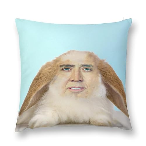 Cute Rabbit Cage Sofa Cushion Case Home Decorative Throw Nicolas Pillow Cover for Couch Bedroom 18x18 Inch