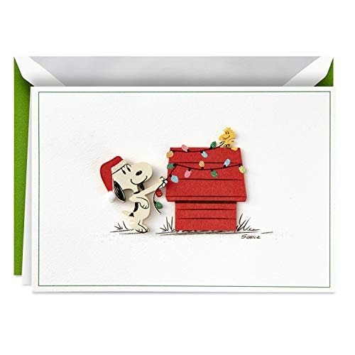 Hallmark Signature Peanuts Boxed Christmas Cards, Snoopy Lights (10 Cards with Envelopes)