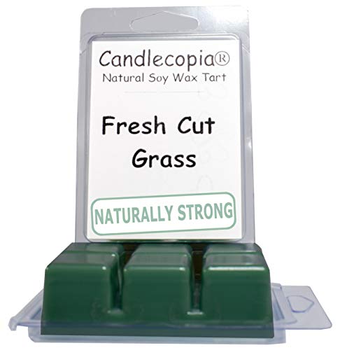 Candlecopia Fresh Cut Grass Strongly Scented Hand Poured Vegan Wax Melts, 12 Scented Wax Cubes, 6.4 Ounces in 2 x 6-Packs