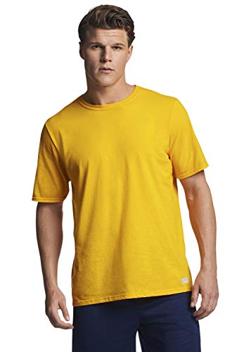 Russell Athletic mens Cotton Performance Short Sleeve T-shirt T Shirt, Gold, Medium US