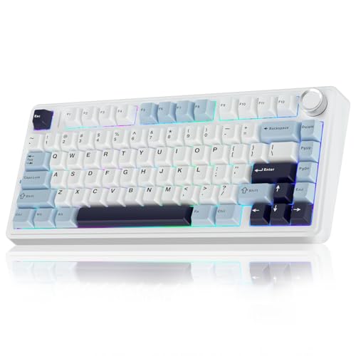 AULA F75 75% Wireless Mechanical Keyboard,Gasket Hot Swappable Custom Keyboard,Pre-lubed Reaper Switches RGB Backlit Gaming Keyboard,2.4GHz/Type-C/Bluetooth Mechanical Keyboard (White & Blue)