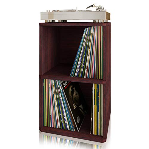 Way Basics Vinyl Record Storage - 2 Tier Book Shelf Turntable Stand (Fits 170 Albums)