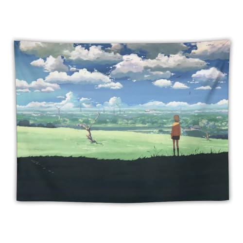 YIYADENTAL 5 Centimeters Per Second Anime Poster (11) Wall Art Tapestry Decorative Bedroom Modern Home Print Picture Artworks Tapestries 30'x40'