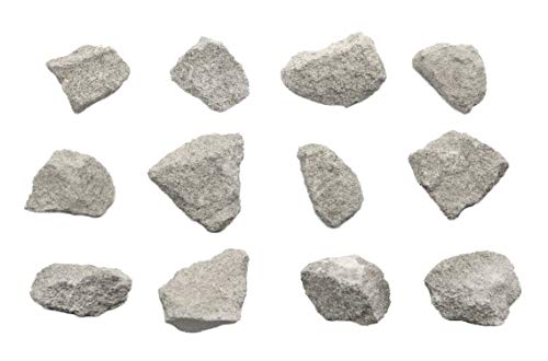 EISCO 12PK Oolitic Limestone, Sedimentary Rock Specimens - Approx. 1' - Geologist Selected & Hand Processed - Great for Science Classrooms - Class Pack
