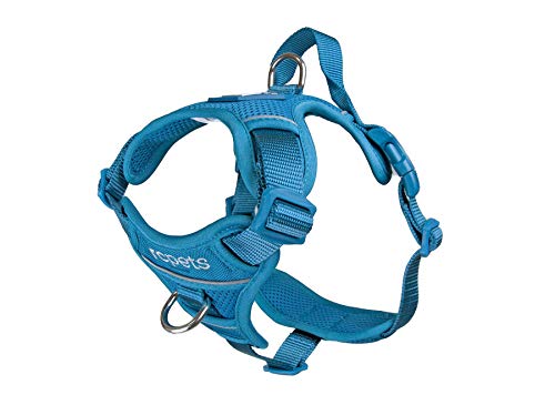 RC Pet Products Momentum Dog Harness, Large, Dark Teal