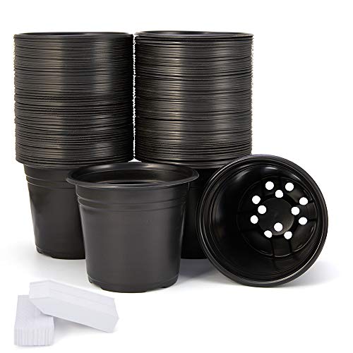 JERIA 100-Pack 0.5 Gallon Plant Nursery Pots, Plastic Pots for Flower Seedling, Flower Plant Container Seed Starting Pot, Come with 100 Pcs Plant Labels(Black)