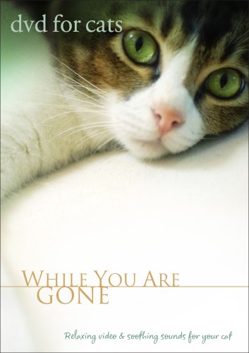 DVD For Cats: While You Are Gone Relaxing Cat Video, Cat Movie for Separation Anxiety