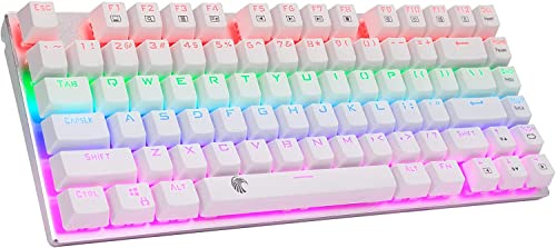 HUO JI 65% Mechanical Gaming Keyboard, E-Yooso Z-88 with Blue Switches Metal Panel Rainbow LED Backlit, Compact 81 Keys, Silver and White