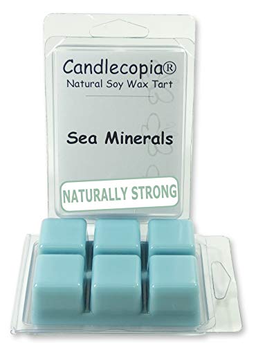 Candlecopia Sea Minerals Strongly Scented Hand Poured Vegan Wax Melts, 12 Scented Wax Cubes, 6.4 Ounces in 2 x 6-Packs