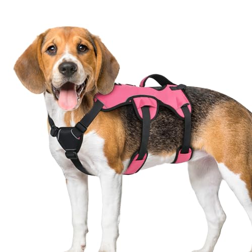 rabbitgoo Escape Proof Dog Harness, Soft Padded Full Body Pet Harness, Reflective Adjustable No Pull Vest with Lift Handle and Leash Clip for Large Dogs Walking Hiking Training, M, Pink