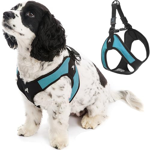 Gooby Escape Free Easy Fit Harness - Turquoise, X-Small - No Pull Step-in Patented Small Dog Harness with Quick Release Buckle - Perfect On The Go No Pull Harness for Small Dogs or Medium Dog Harness