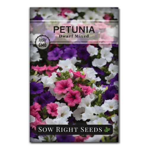Sow Right Seeds - Dwarf Mixed Petunia Seeds to Plant - Full instructions for Planting and Growing a Flower Garden - Non-GMO Heirloom Seeds - Annual Hanging Basket Flower - Wonderful Gardening Gift (1)