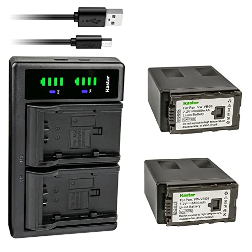 Kastar 2-Pack VW-VBG6 Battery and LTD2 USB Charger Replacement for Panasonic AG-AC130AEJ, AG-AC130AP, AG-AC160, AG-AC160A, AG-AC160AEJ, AG-AC160AP, AG-HMC40, AG-HMC43, AG-HMC45A, AG-HMC70, AG-HMC70U