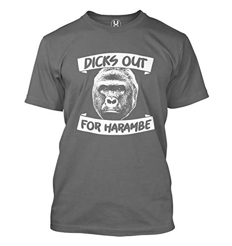 Dicks Out for Harambe - Gorilla RIP Meme Men's T-Shirt (Charcoal, Large)