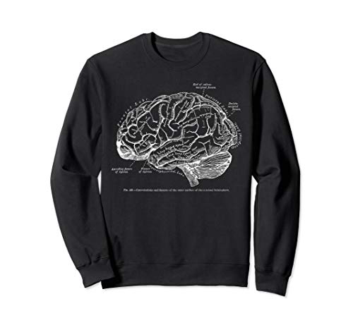 Vintage Human Brain Anatomy Sweatshirt