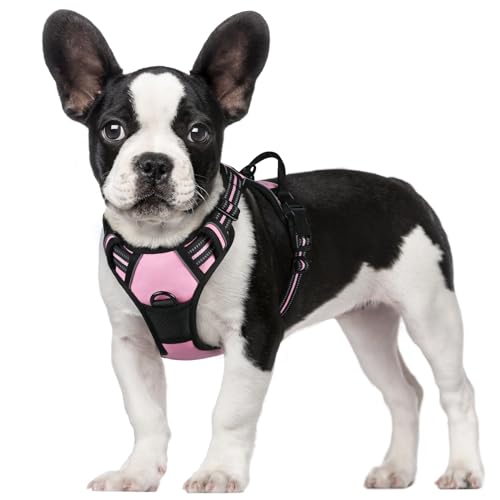 rabbitgoo Dog Harness, No-Pull Pet Harness with 2 Leash Clips, Adjustable Soft Padded Dog Vest, Reflective No-Choke Pet Oxford Vest with Easy Control Handle for Small Dogs, Pink, S