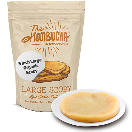 Organic Kombucha SCOBY | Large size | 5-Inch Thick SCOBY Mother for Easy Brewing of Kombucha Drinks Probiotic-Rich | Includes 4 OZ of Kombucha Starter Tea Liquid | By The Kombucha Company