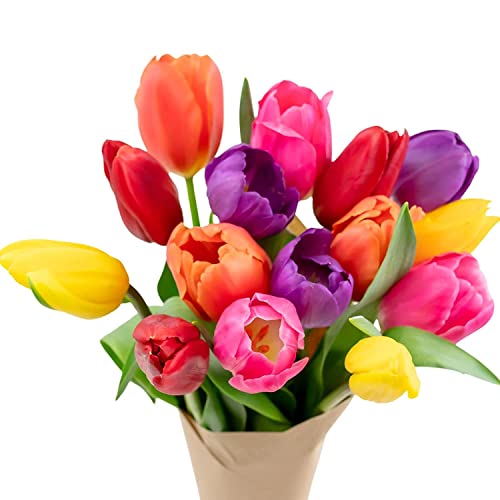 Stargazer Barn - Prime Overnight Delivery - The Happy Bouquet- Farm Fresh Colorful Tulips - Ship directly from our farm to your door, Red, Pink, Yellow, Purple, Orange