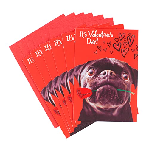 Hallmark Pack of Funny Valentines Day Cards, Pug and a Kiss (6 Valentine Cards with Envelopes)