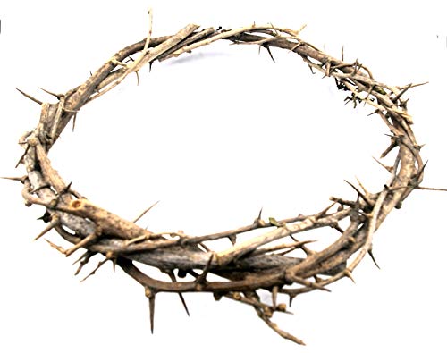 Zuluf Bethlehem Jerusalem HOLY Land aprox 7.5' Diameter | Passion of Christ Crown of Thorns/Authentic Crown of Thorns Comes in Gift Box | Easter Tree Decorations Ornament HLG027