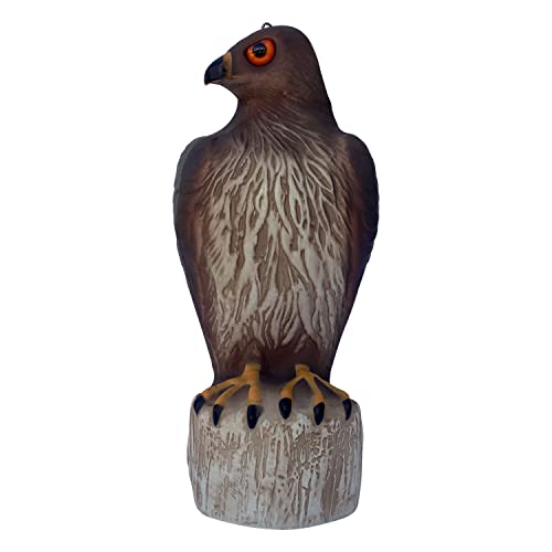 Bird B Gone Plastic Hawk Decoy to Scare Birds Away, Bird Deterrent Devices Outdoor, 16 Inch Fake Hawk Statue, Natural Bird Scarecrow for Garden