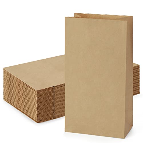 SHOPDAY Paper Lunch Bags 4lb 100 Pack Brown Paper Bags 5x2.95x9.45' Recyclable Kraft Sack Lunch Bags Snacks Bags Grocery Bags for Food Storage & Packing