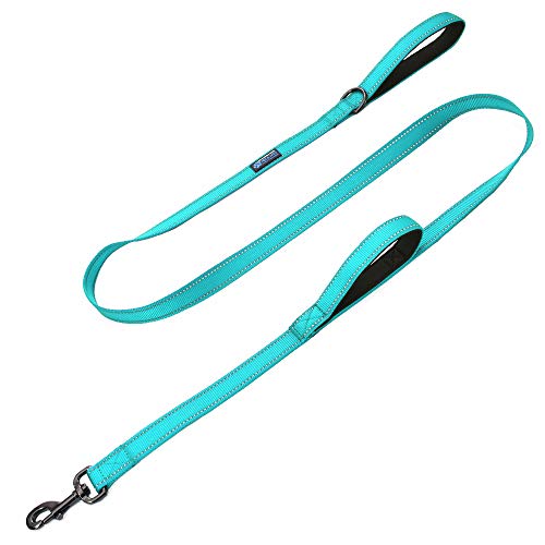 Max and Neo Double Handle Traffic Dog Leash Reflective - We Donate a Leash to a Dog Rescue for Every Leash Sold (Teal, 6 FT)