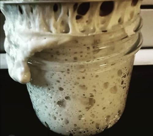 Authentic 233-Year-Old San Francisco Sourdough Starter: Verified Heritage Starter and Rise Sonora