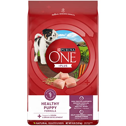 Purina ONE Plus Healthy Puppy Formula High Protein Natural Dry Puppy Food with added vitamins, minerals and nutrients - 8 lb. Bag