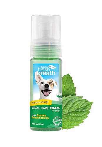 TropiClean Fresh Breath Foam for Dogs & Cats | Travel-Ready Dog Breath Freshener Foam for Stinky Breath | Made in the USA | 4.5 oz