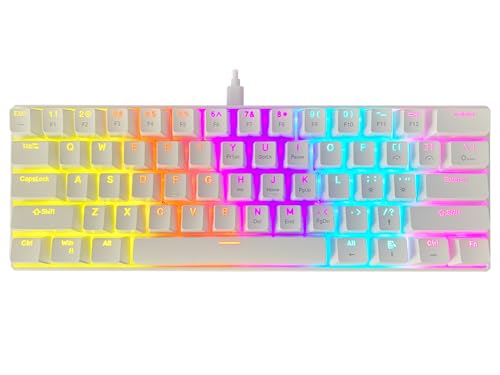 Mechanical Keyboard, Premium 61-Key, 60% Mechanical Gaming Keyboard with Blue Switches and Dynamic 12-Mode Backlight - Plug and Play, Anti-Ghosting, for PC, Windows, Mac, Gamer, Office, Typists