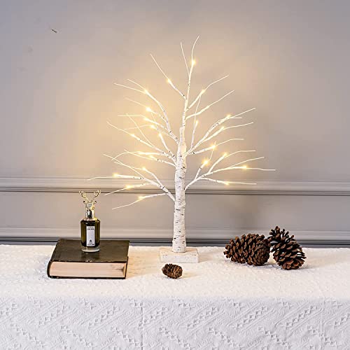 ESTTOP 2FT 24LT Led Lighted Birch Tree, 24' White Money Artificial Tree Christmas Decorations Indoor, Battery Powered Timer for Winter Wedding Home Mantle Table Top Centerpieces Easter Decor