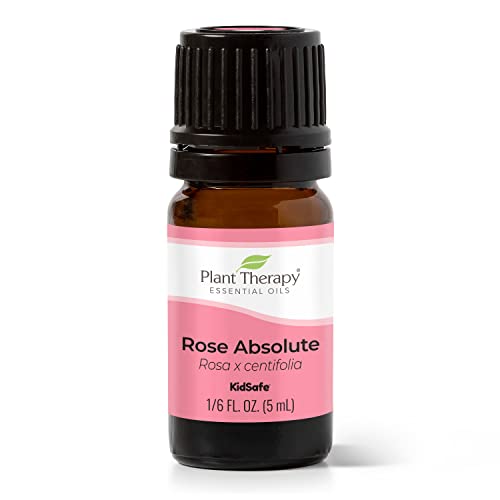 Plant Therapy Rose Absolute Essential Oil 100% Pure, Undiluted, Natural Aromatherapy, Therapeutic Grade 5 mL (1/6 oz)