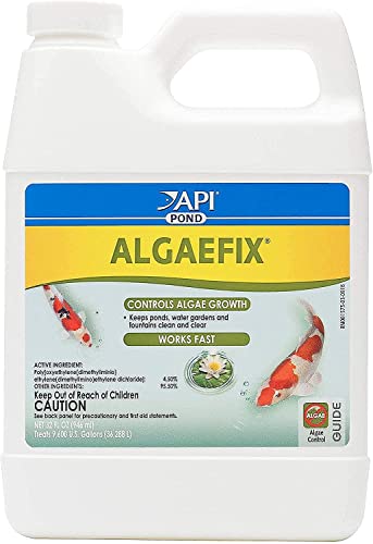 API POND ALGAEFIX Algae Control 32-Ounce Bottle, FISHAQUARI (169G)