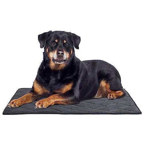 MABOZOO Durable Chew Proof Dog Bed, Tough Indestructible Dog Crate Mat for Aggressive Chewers, Washable Puppy Bed for Small Dog,Waterproof Dog Bed for Kennel,Black 17x23 in