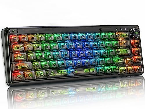 CC MALL 60% Portable Transparent Gasket Hot Swappble Mechanical Gaming Keyboard,RGB Backlit Compact 68 Clear Keycaps,Include 2.4Ghz/Bluetooth/USB-C Connections,Ice Crystal Switch(Black)