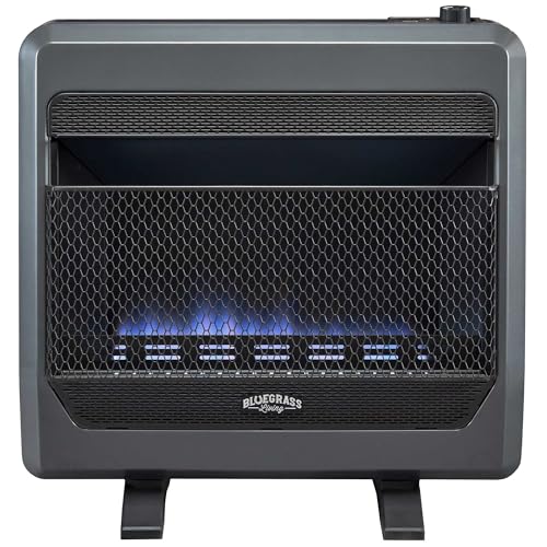 Bluegrass Living B30TPB-BB Ventless Propane Gas Blue Flame Space Heater with Thermostat Control, 30000 BTU, Heats Up to 1400 Sq. Ft., Includes Wall Mount, Base Feet, and Blower, Black