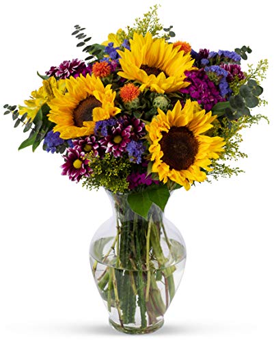 BENCHMARK BOUQUETS - Flowering Fields (Glass Vase Included), Prime Next-Day Delivery, Gift Mother’s Day Fresh Flowers