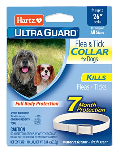 Hartz UltraGuard Flea & Tick Collar for Dogs and Puppies - 26' Neck, 7 Month Protection