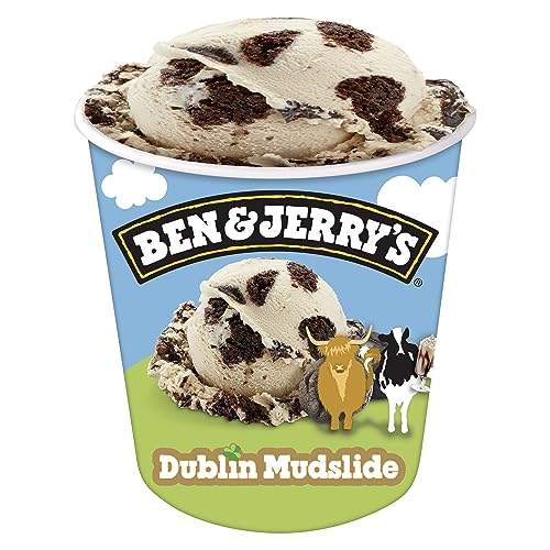 Ben & Jerry's Dublin Mudslide Irish Cream Ice Cream Pint Non-GMO 16oz