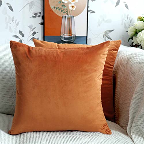 Cyuripu Set of 2 Velvet Burnt Orange Throw Pillow Covers 18 x 18 Inch Decorative Square Pillowcases Soft Cozy Cushion Cases for Couch Sofa Bedroom Living Room Home Decor 45 x 45 Cm