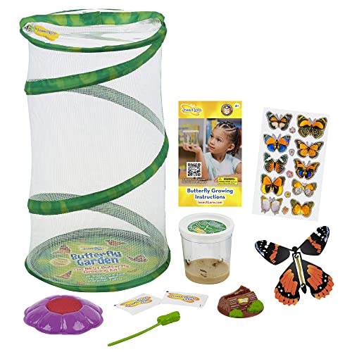 Butterfly Mini Garden Gift Set with Live Cup of Caterpillars – Life Science & STEM Education - Best Birthday Gift, for Boys & Girls Age 4 5 6 7 8 Years Old