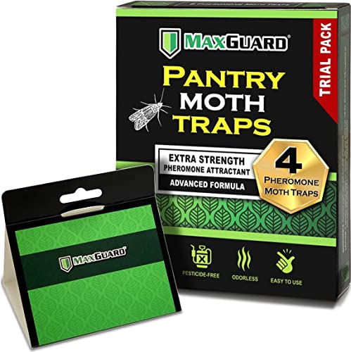 MaxGuard Pantry Moth Traps (4 Traps Trial Pack) Extra Strength Pheromones | Non-Toxic Sticky Glue Trap for Food and Cupboard Moths in Your Kitchen | Trap and Kill Seed Grain Flour Meal Moths |