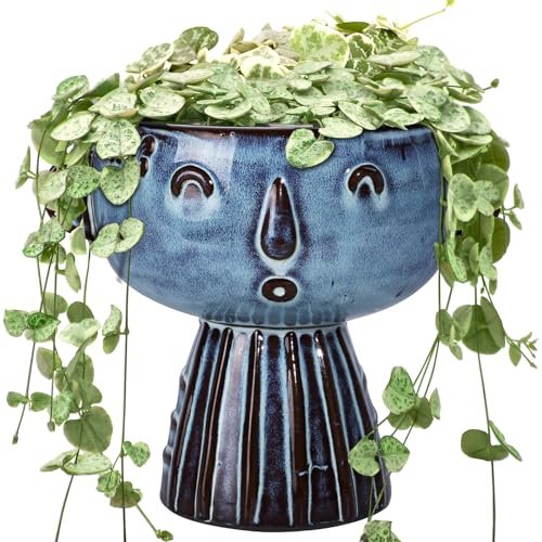 Blue Ceramic Head Planter 7 Inch Face Flower Pot Cute Garden Pot for Succulent Cactus Herbs Plants with Drainage